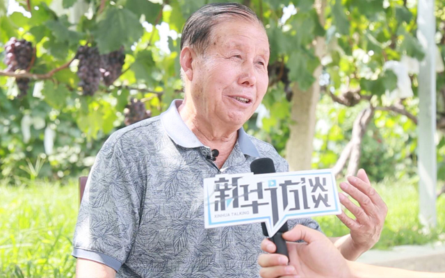 “戶縣葡萄”品牌價(jià)值評(píng)估4.75億元，入圍“中國果品區(qū)域公用品牌50強(qiáng)”