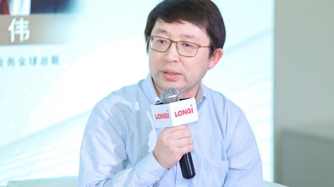 汪偉：中國光伏既要勇于“走出去”，又要積極推進(jìn)“內(nèi)循環(huán)”