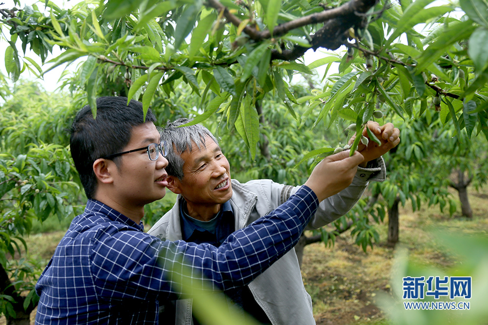 楊揚(yáng)：扎根基層 綻放青春夢想