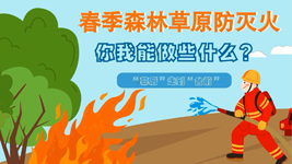 春季森林草原防滅火，你我能做些什么？